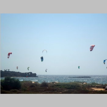 20150724-390.JPG