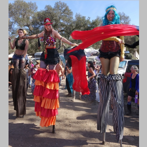 Stilts
