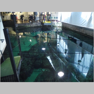 20120701-586.JPG