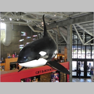20120701-592.JPG