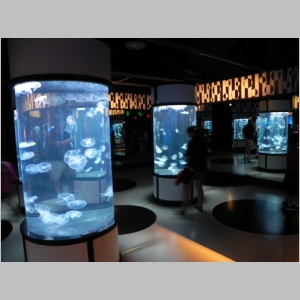 20120701-655.JPG