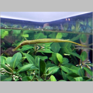 20120701-793.JPG