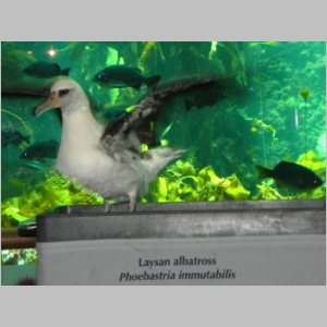 20120701-819.JPG