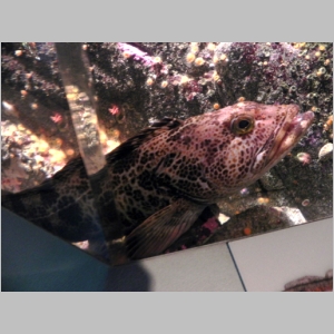 20120701-832.JPG