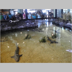 20120701-846.JPG