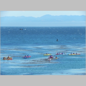 20120630-422.JPG