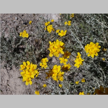 20150330-197.JPG