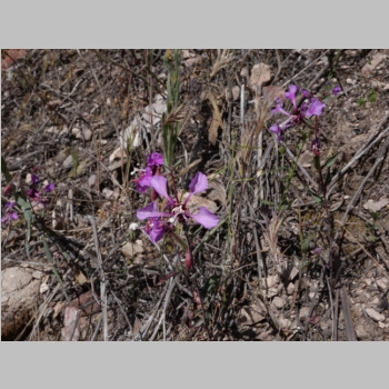 20150330-266.JPG