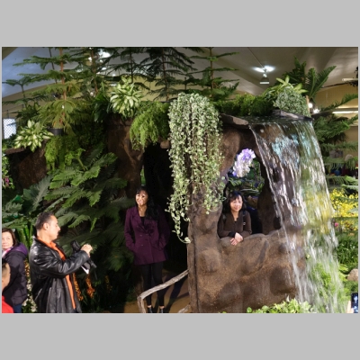 20180310-152.JPG