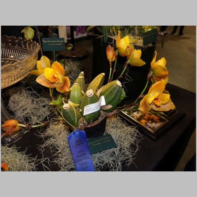 20180310-212.JPG