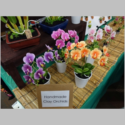 20180310-268.JPG