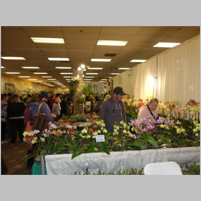 20180310-271.JPG