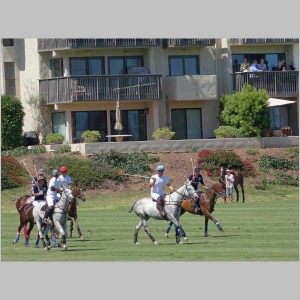 20170625-064.JPG