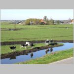 Bike Ride: Amsterdam to Waterland