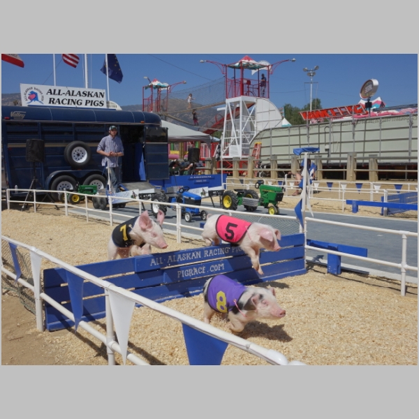 20170430-221.JPG