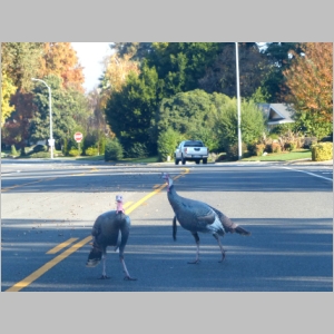20121126-217.JPG