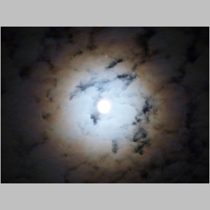 20121128-447.JPG