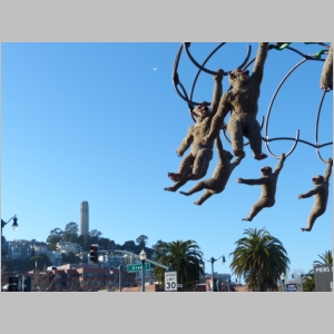 20131130-625.JPG