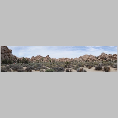 20180331-0282.JPG