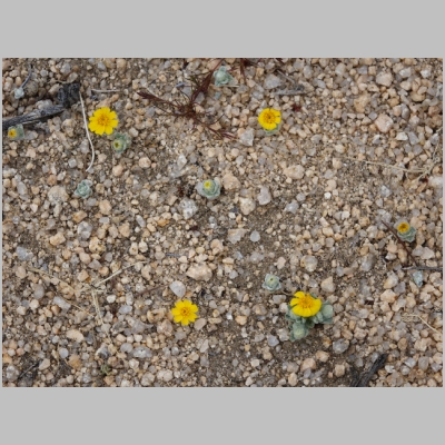 20180331-0429.JPG