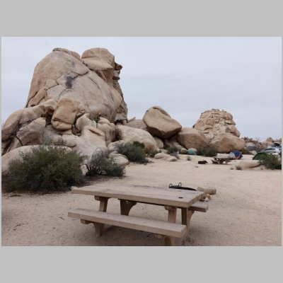 20180331-0442.JPG