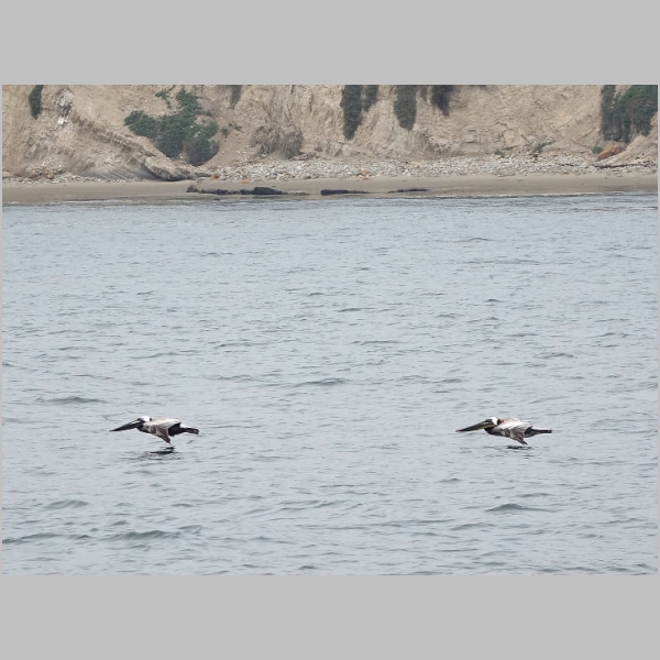 20180424-121.JPG