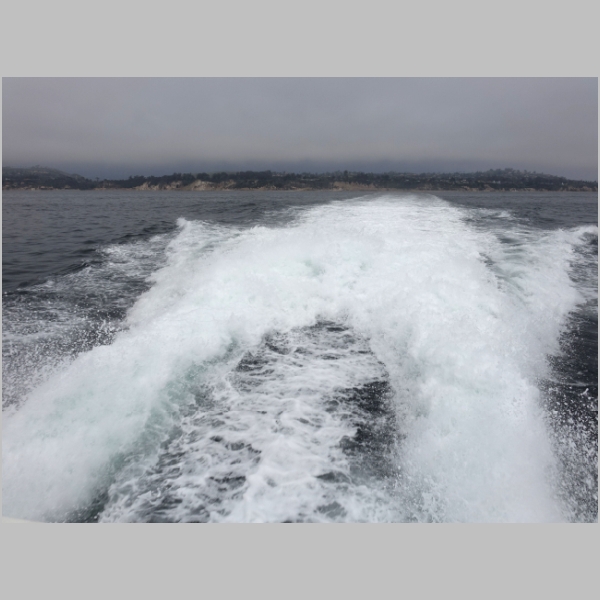 20180424-164.JPG
