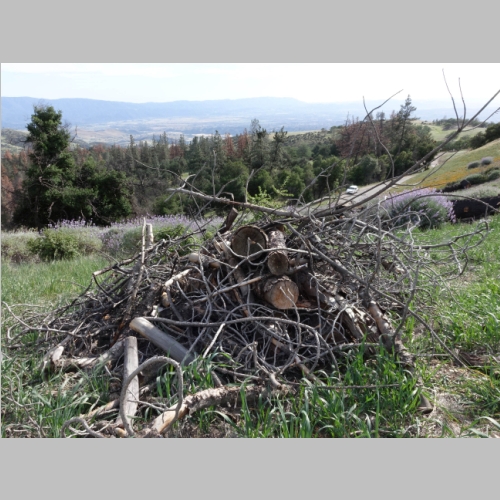 20150324-231.JPG