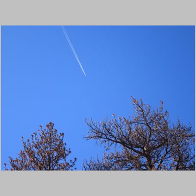 20170311-154.JPG