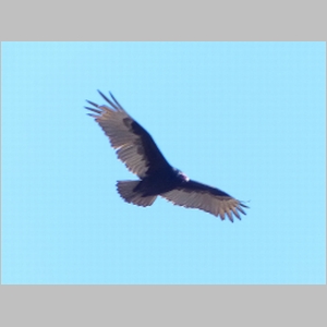 20130117-042.JPG