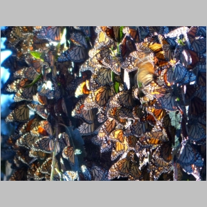 20130117-204.JPG