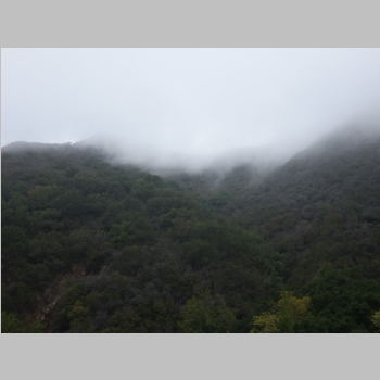 20150809-017.JPG