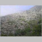 PC120087.JPG
