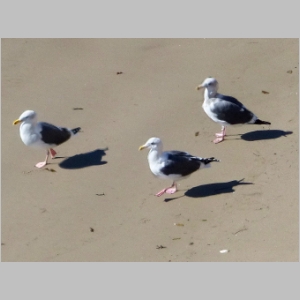 20121113-163.JPG