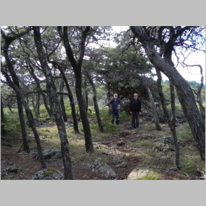 2011-1126-105.JPG