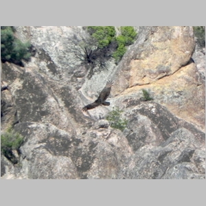 2012-0430-250.JPG