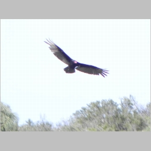 2012-0430-387.JPG