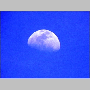 2012-0430-393.JPG