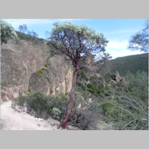 2012-0430-398.JPG