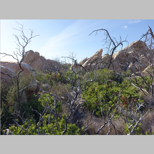 20160219-065.JPG