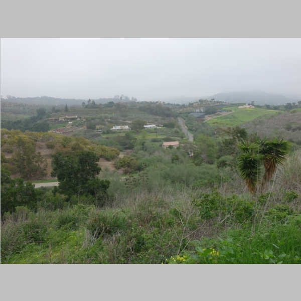 20160320-238.JPG