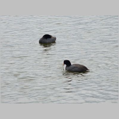 20170225-099.JPG