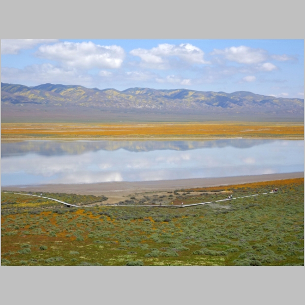 Carrizo Plain