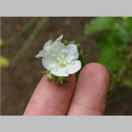 20150613-044.JPG