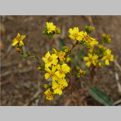 20150613-067.JPG