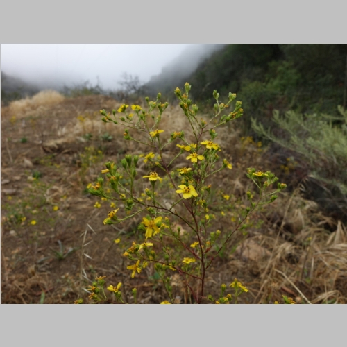 20150613-074.JPG