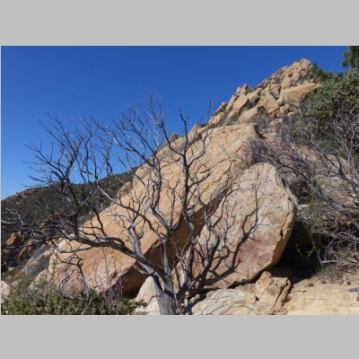 20160206-225.JPG