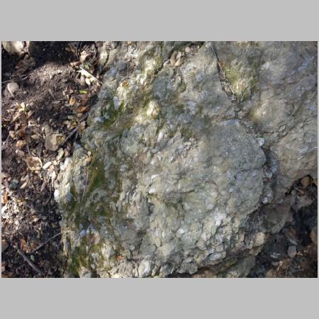20181202-286.JPG