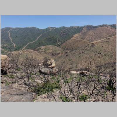 20180527-255.JPG