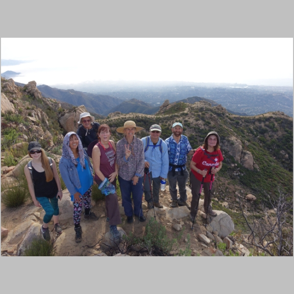Top Ridge